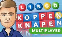 nederlandse spelletjes gratis